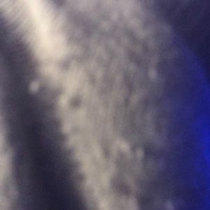 a picture of my sock